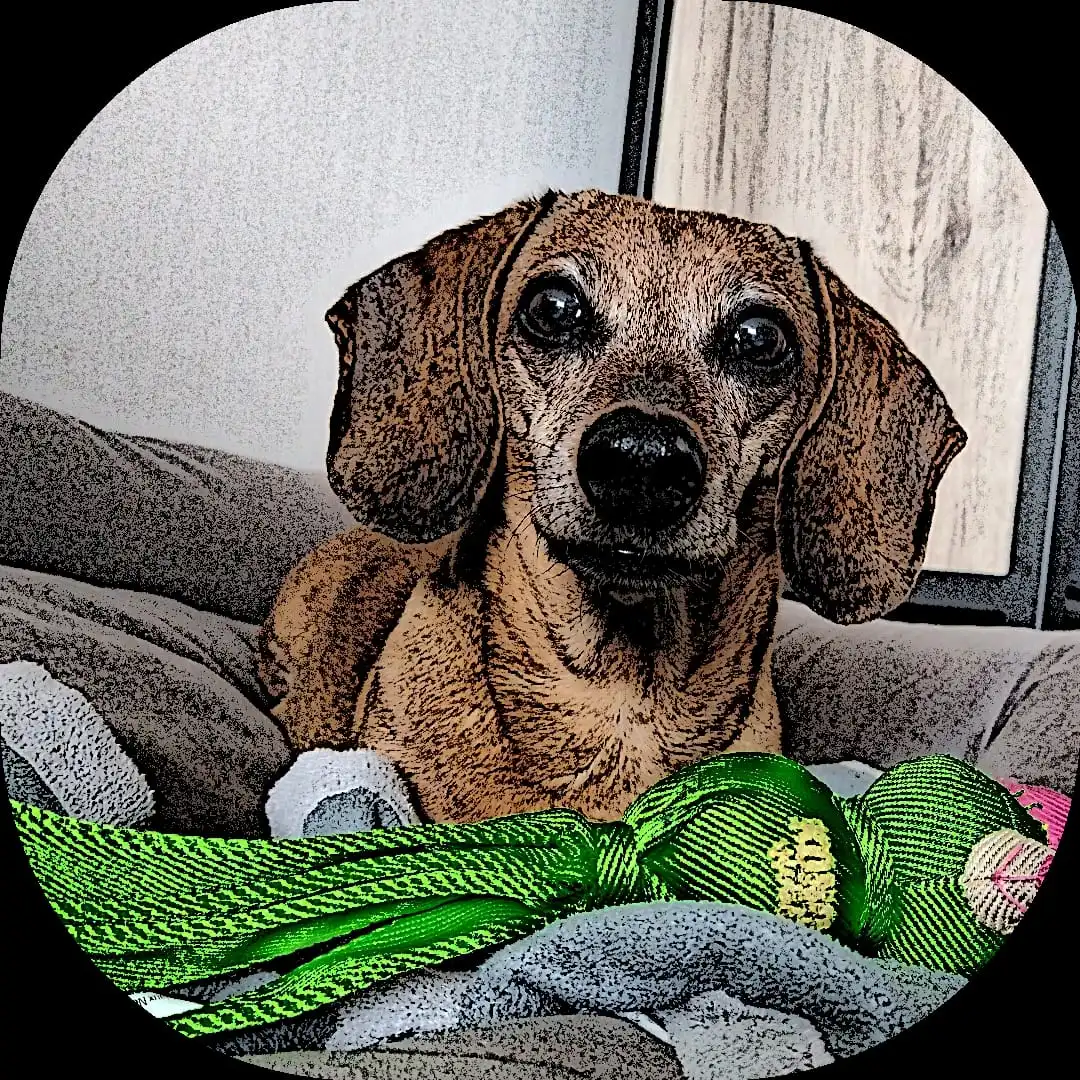 Logo van Plezier voor je hond